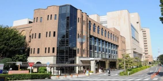 The University Hospital of Tokyo Tokyo Japan