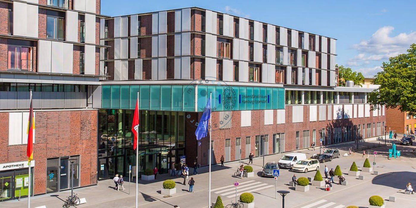University Medical Center Hamburg-Eppendorf Hamburg Germany