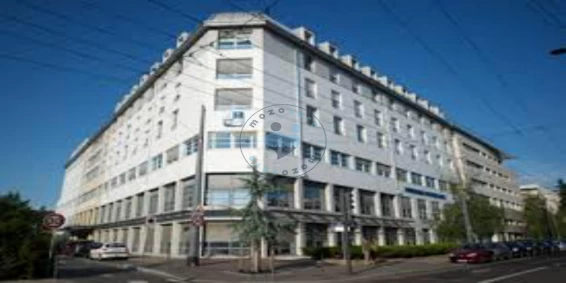 La Clinique de l'Infirmerie Protestante Lyon France